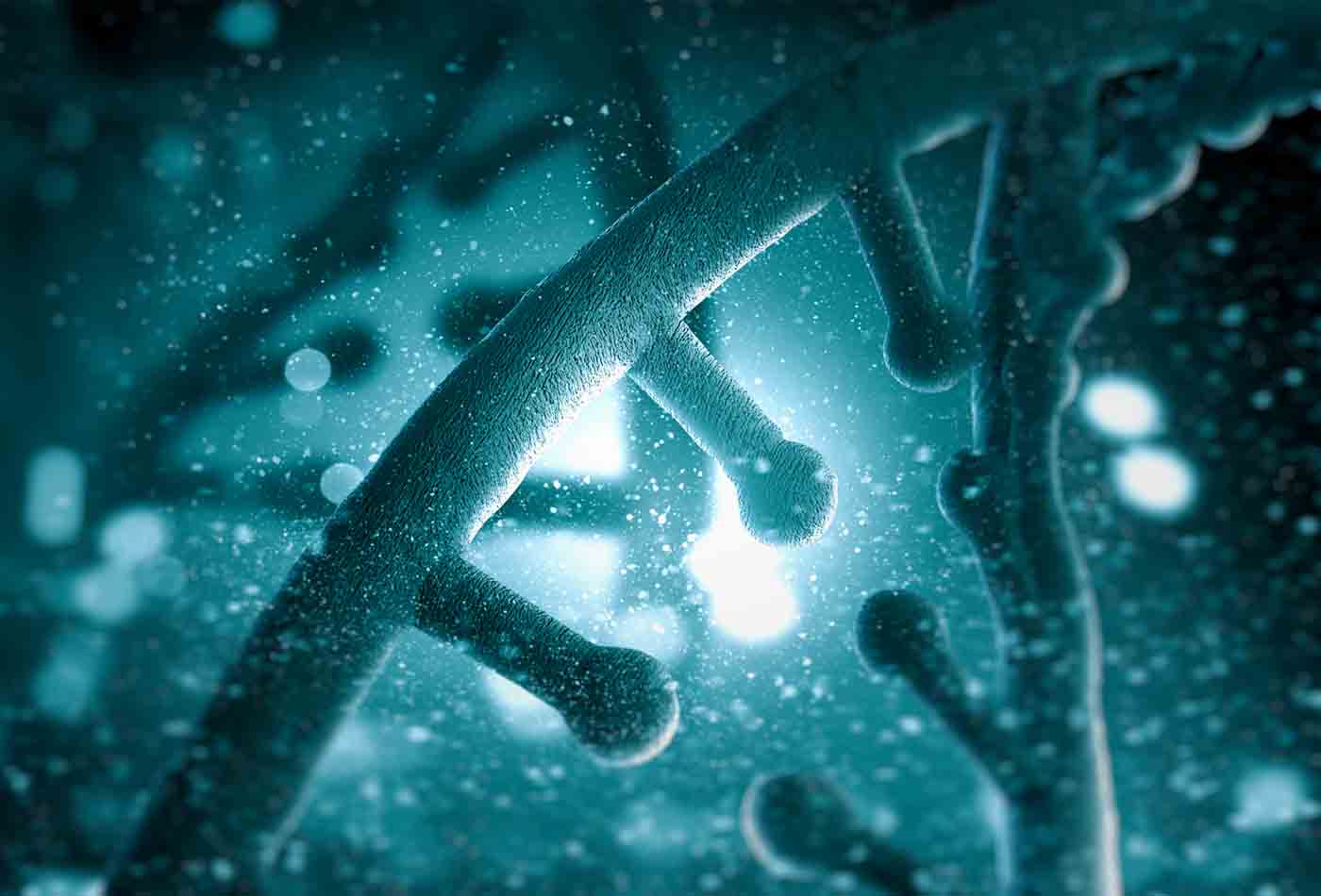 The DNA of Desires