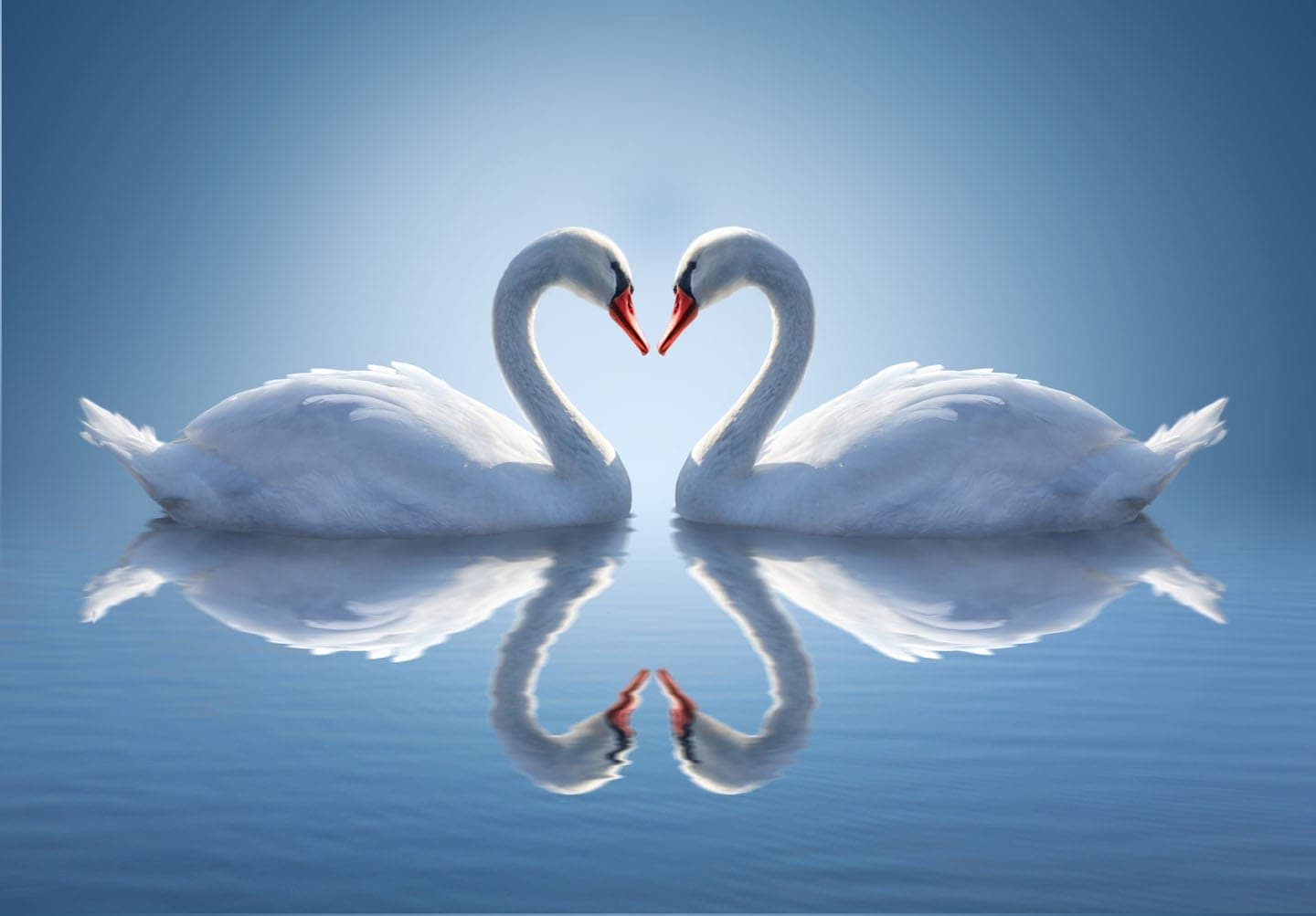 Speaking the Language of Love