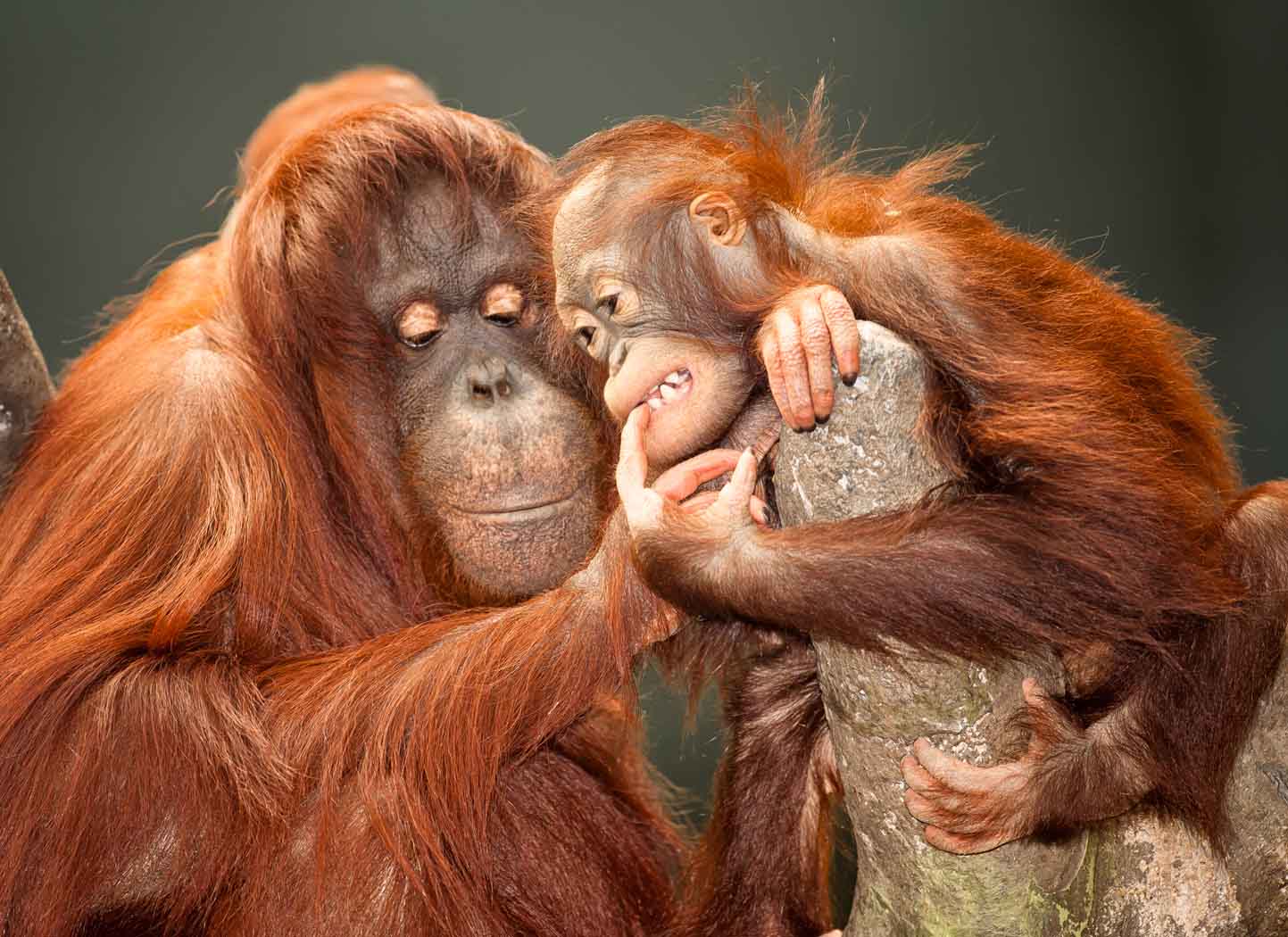 Unconditional Love