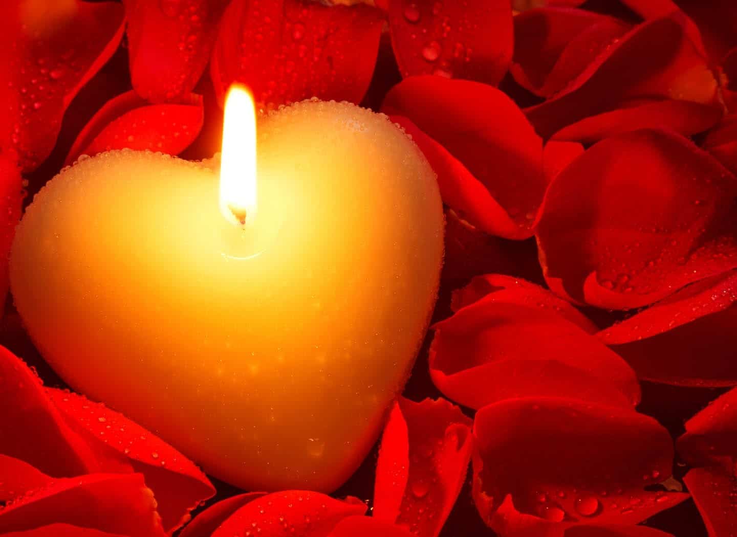 What is Love?