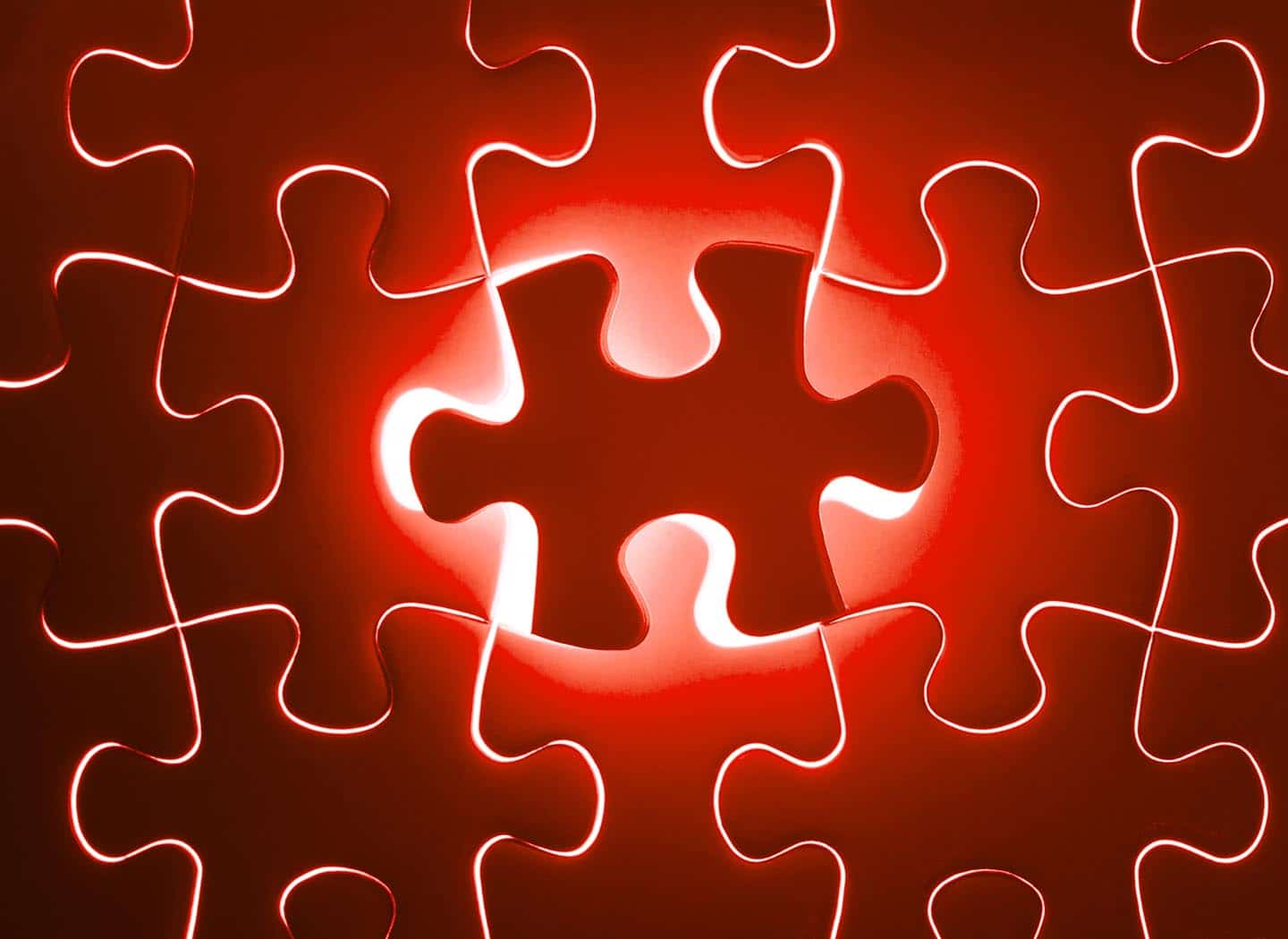 The Puzzle of Life