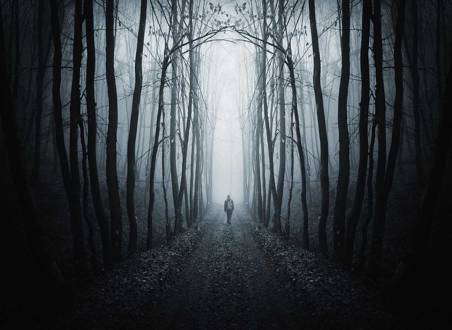 The Journey of Life