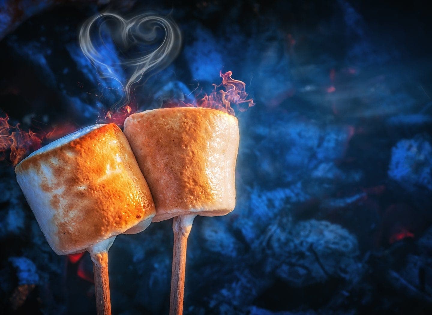 The Marshmallow Experiment