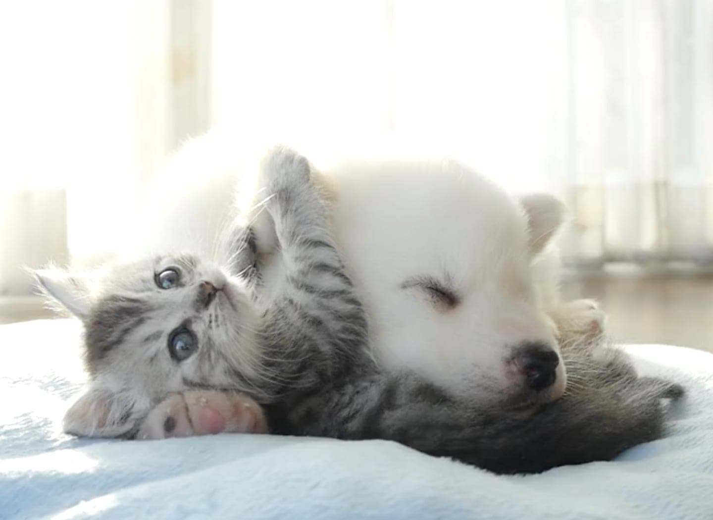 Sleep