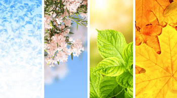 Life is like... The four seasons 1 Seasons of life, four seasons of human life, life changes like the weather, four seasons of nature