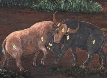Two bulls-gods and demons of mind-read the story