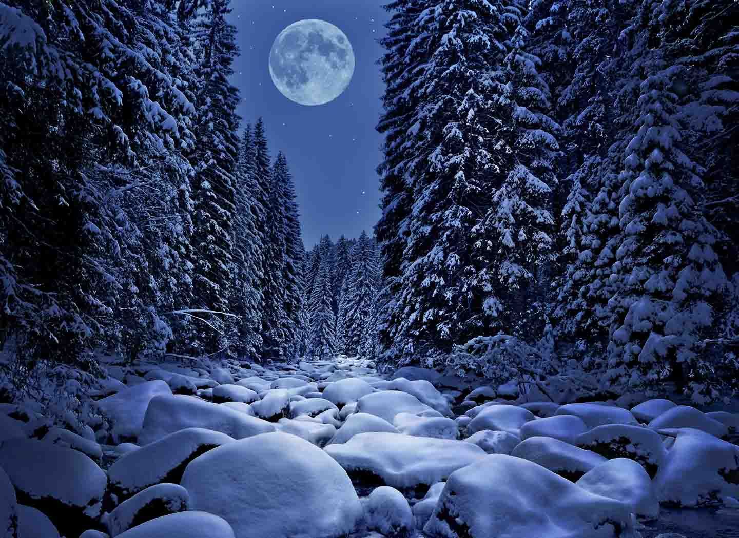 Cold night. Quiet Night. Quiet Street Winter Night. Quiet Winter. Quiet at Night