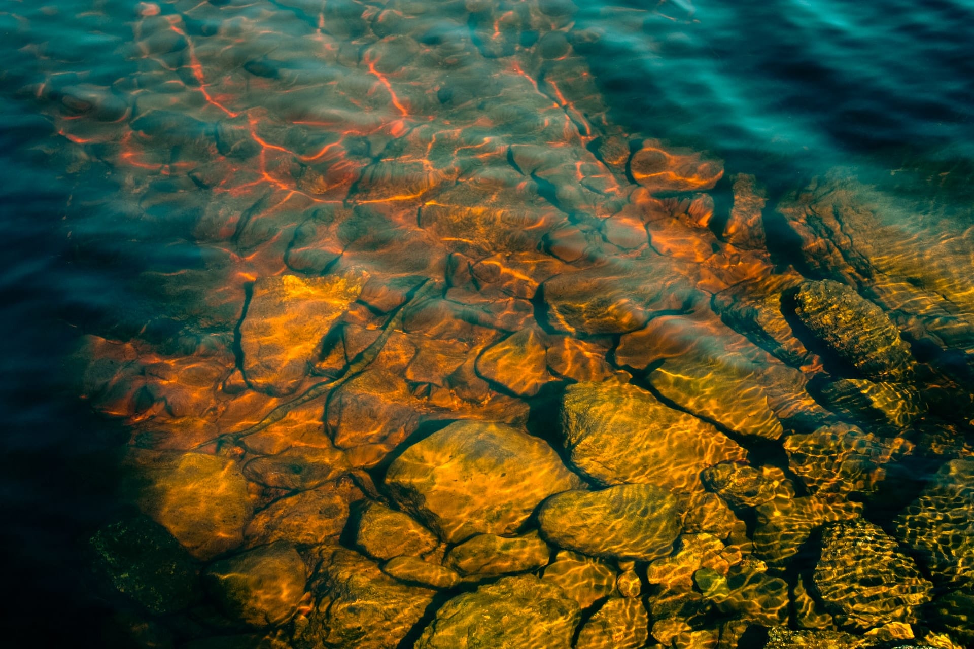 The river 1
