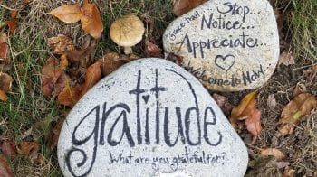 Gratitude interdependent right