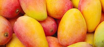 Mangoes that look same but taste different!!! 1