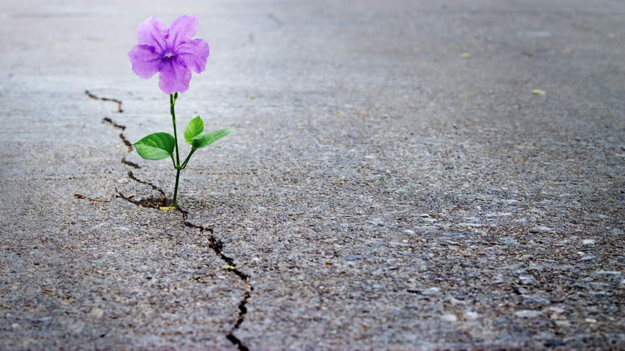 Life failure i discovered, taking up challenges promote personal transformation christianity