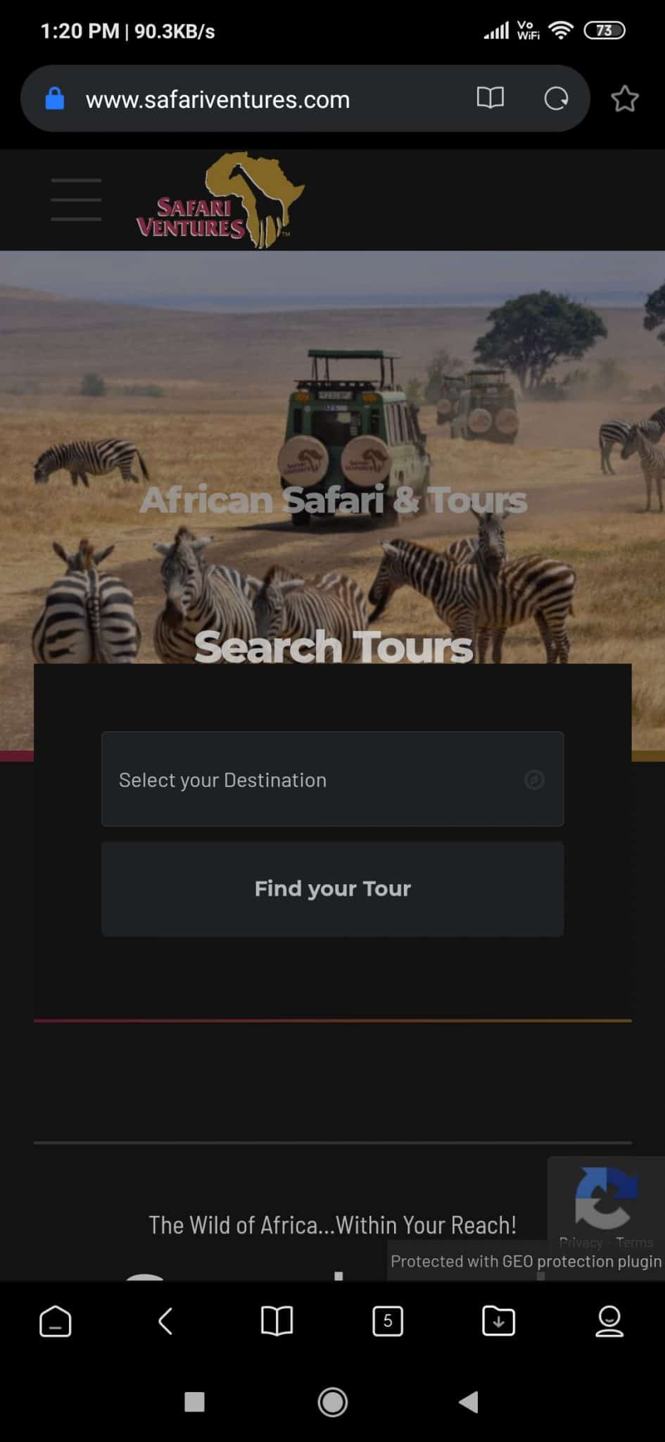 African safari 1