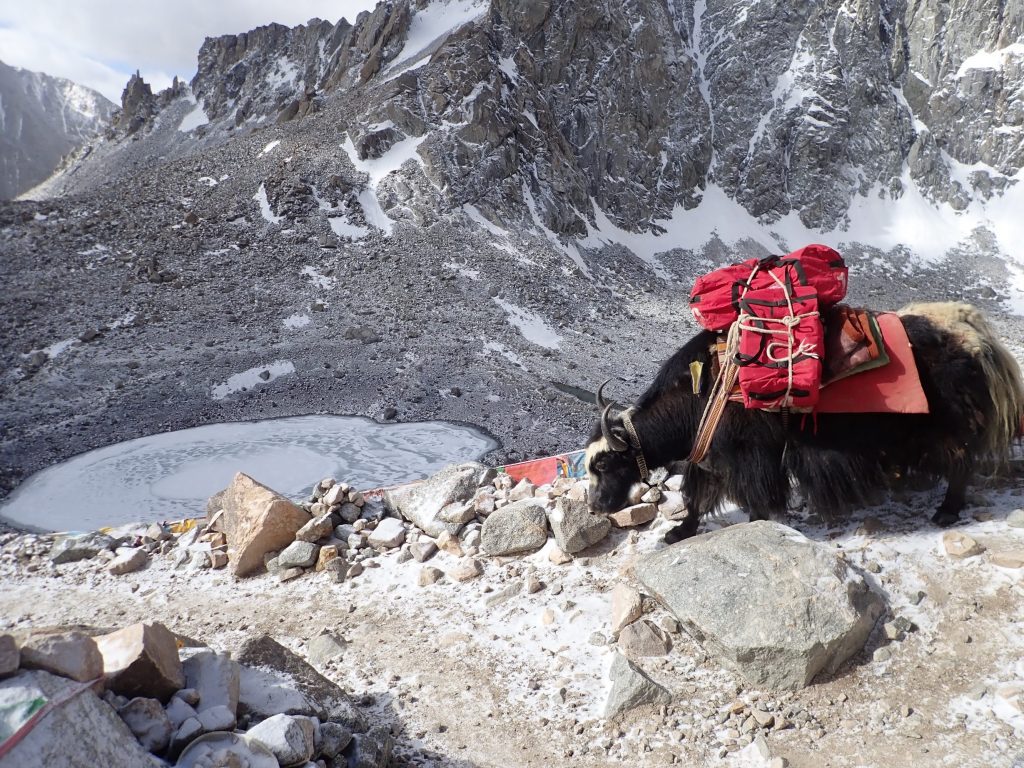 Mount kailash parikrama – part 3 17 Mount kailash parikrama – part 3 17