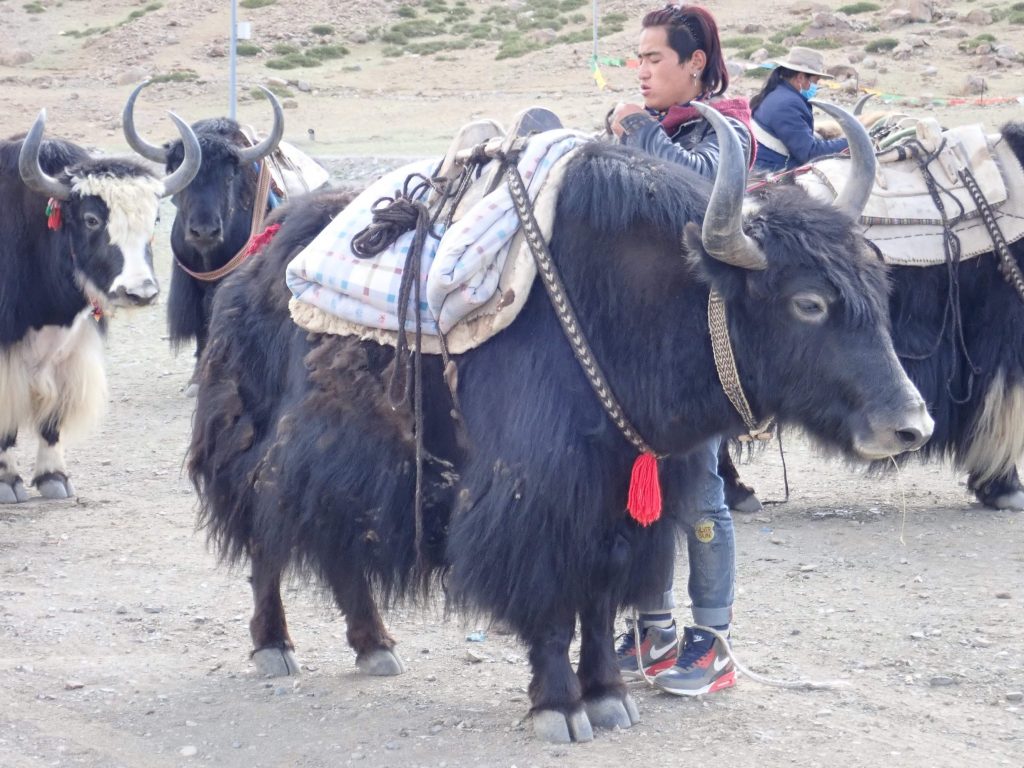 Mount kailash parikrama – part 3 4 Mount kailash parikrama – part 3 4