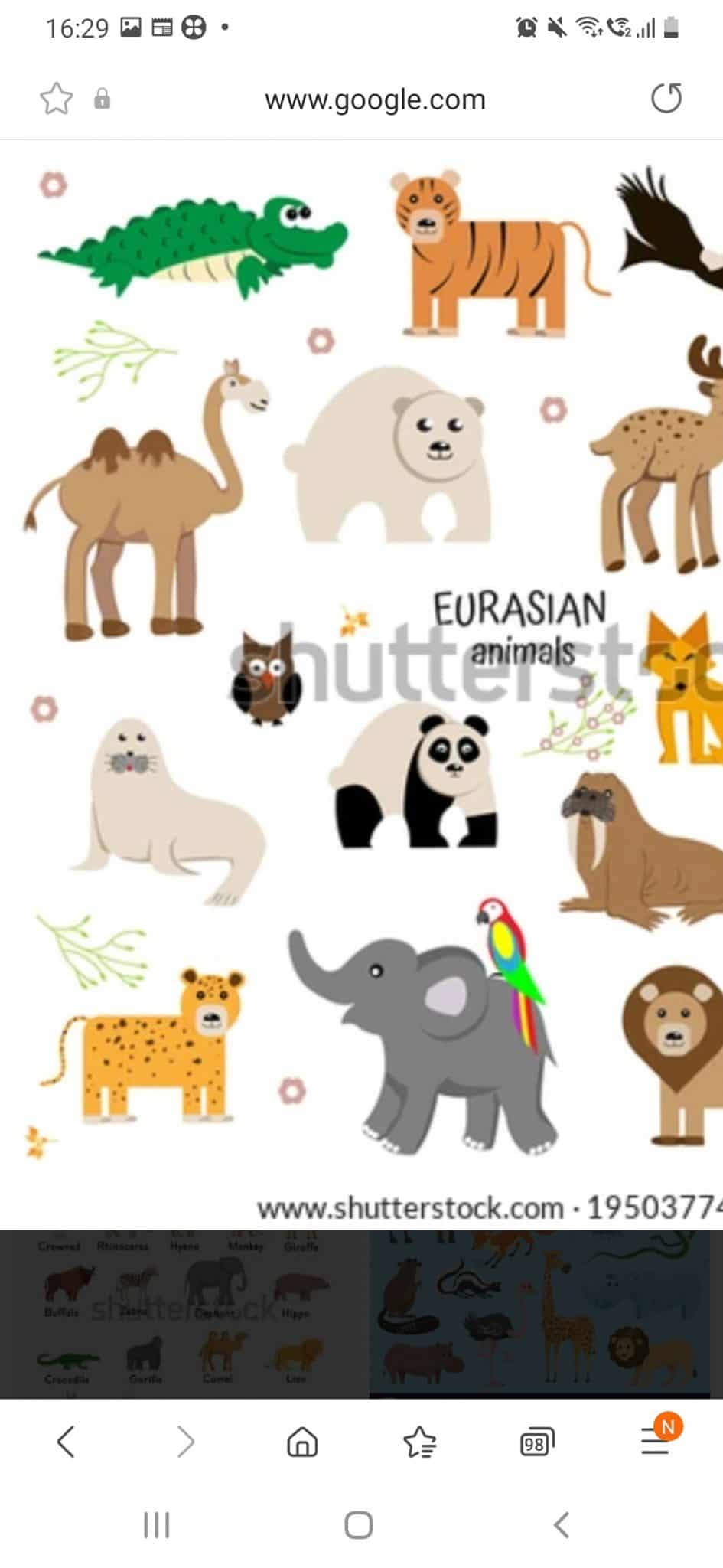 When camel can eat cumin seeds 1 When camel can eat cumin seeds 1