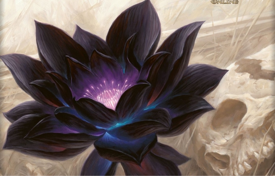 Black lotus app 1 Black lotus app 1