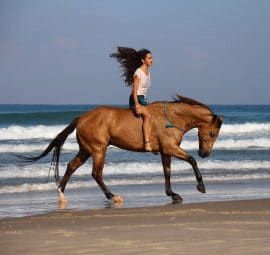 Riding a bareback horse 4