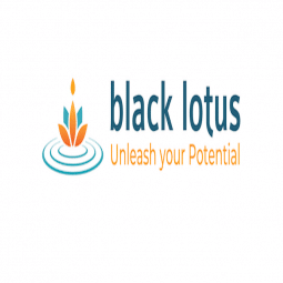 How the black lotus app inspired me. 6