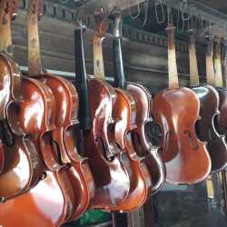 Violins