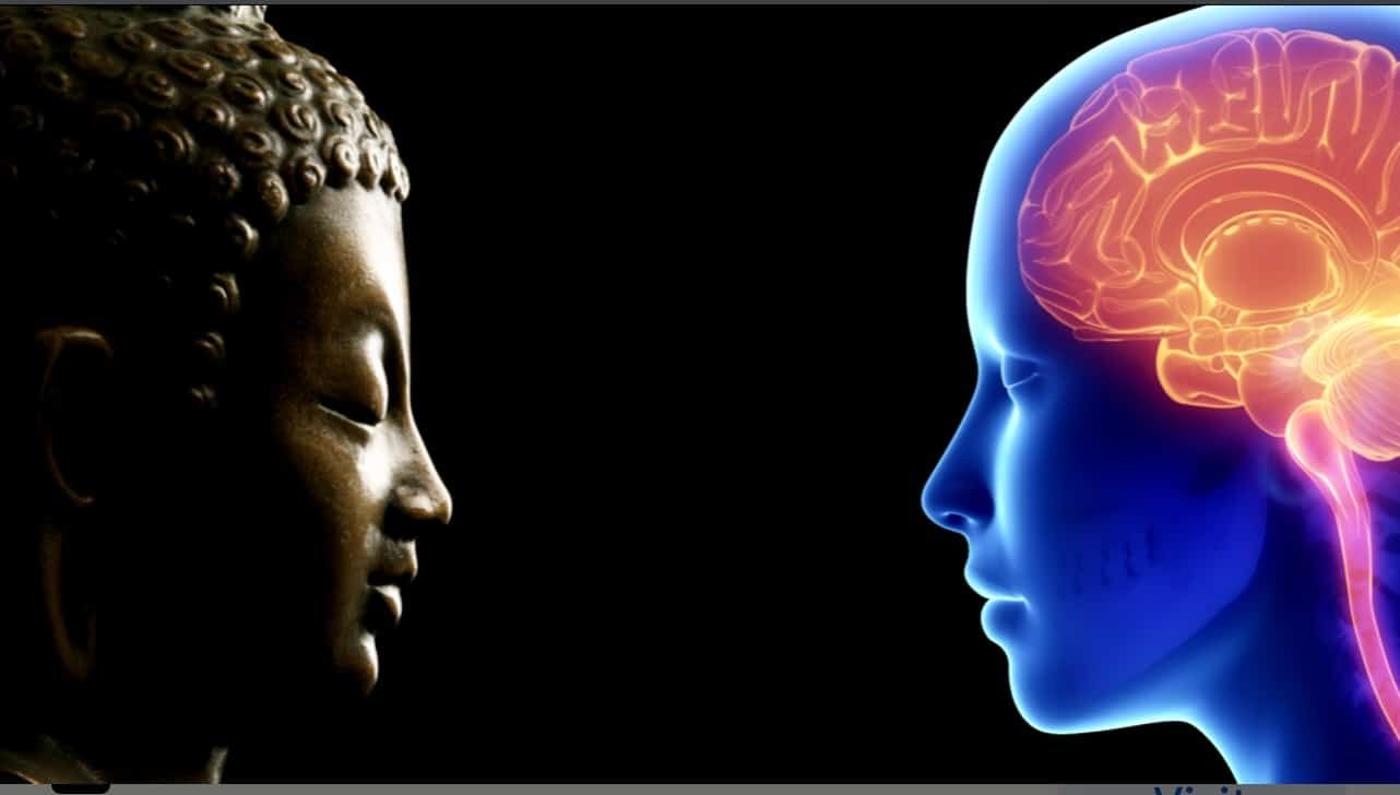 Meditation is the #1 brain changer 1