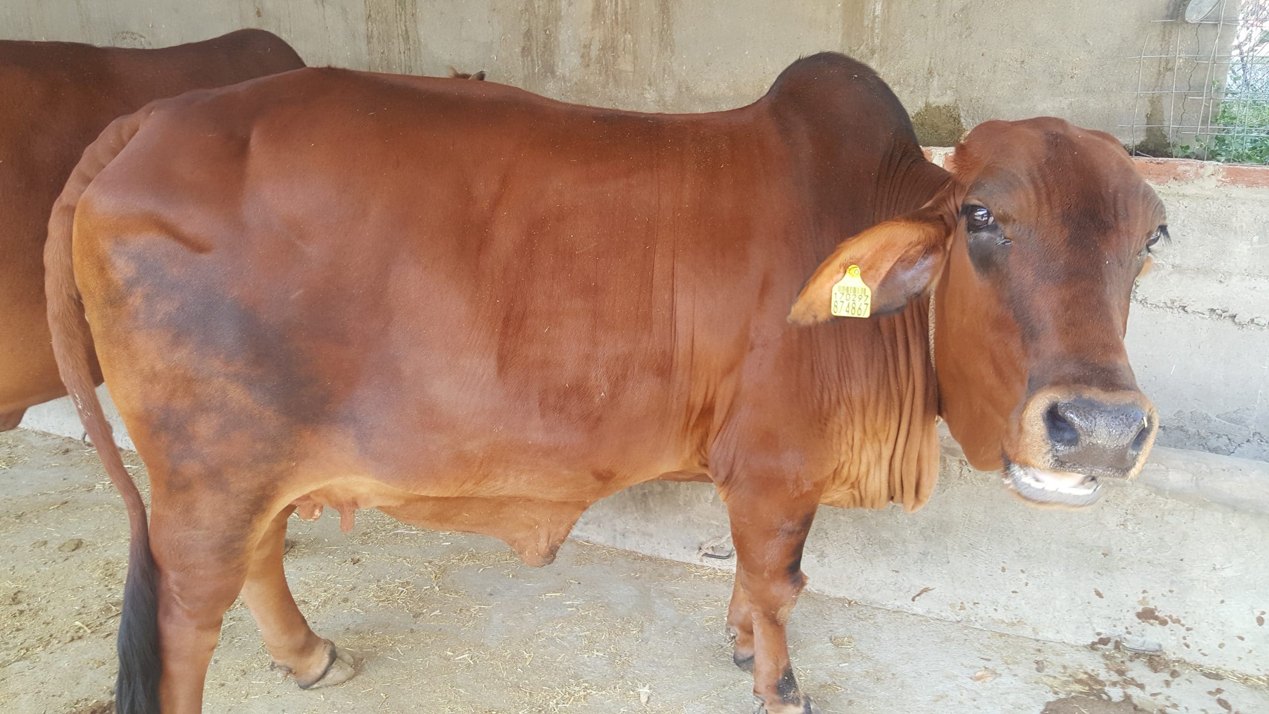 माता....... थोड़ा सम्भल कर 1 माता....... थोड़ा सम्भल कर 1