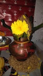 Guru maa at home during navratri 2