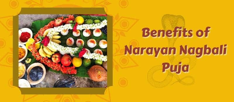 What is narayan nagbali puja? How to get rid from curse from ancestor? 1