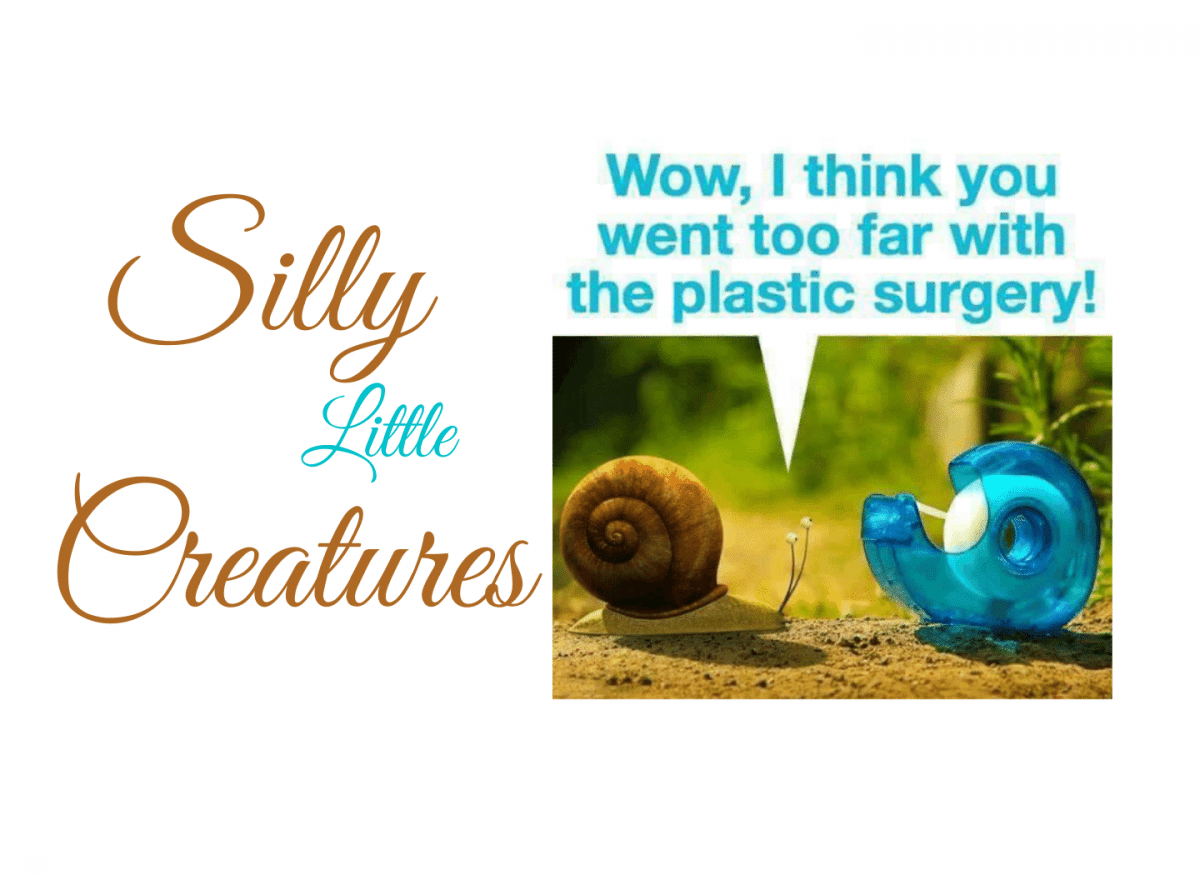 Silly little creatures  1
