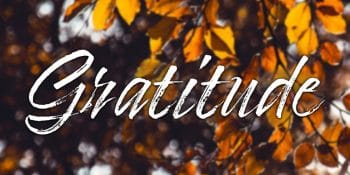 The year that was—a post of gratitude, thanks giving and hope 5