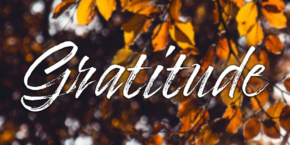 The year that was—a post of gratitude, thanks giving and hope 1