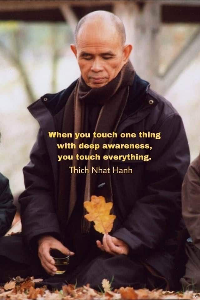 Beloved teacher thich nhat hanh, you live on.. 9