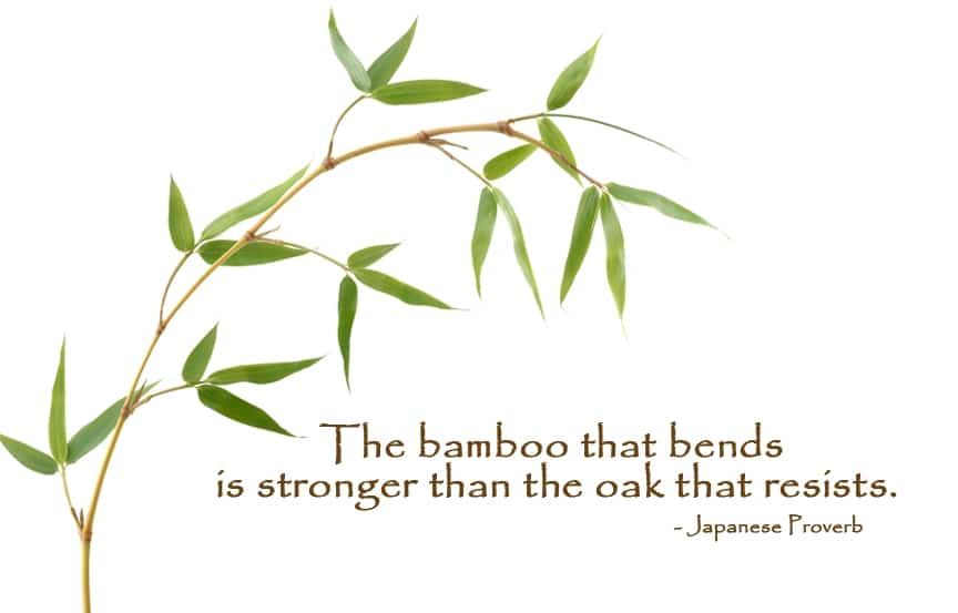 The bamboo that bends is stronger than the oak that resists 1