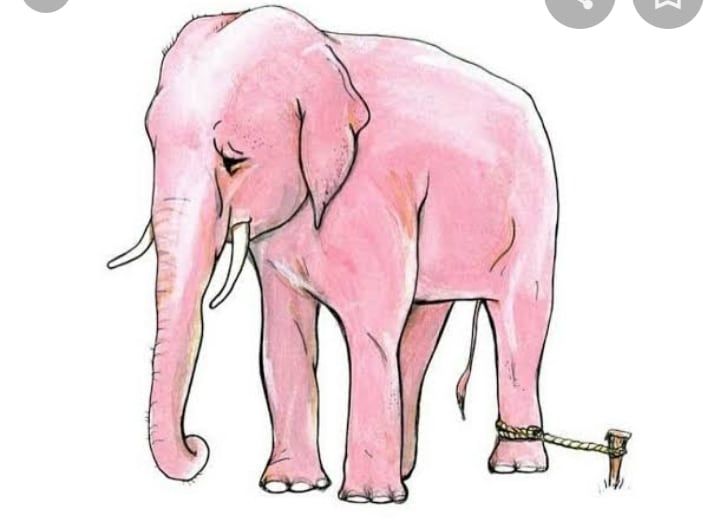 The elephant rope 1