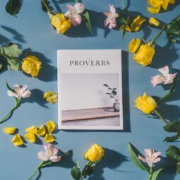25 proverbs we teach our children but fail to follow as adults 15
