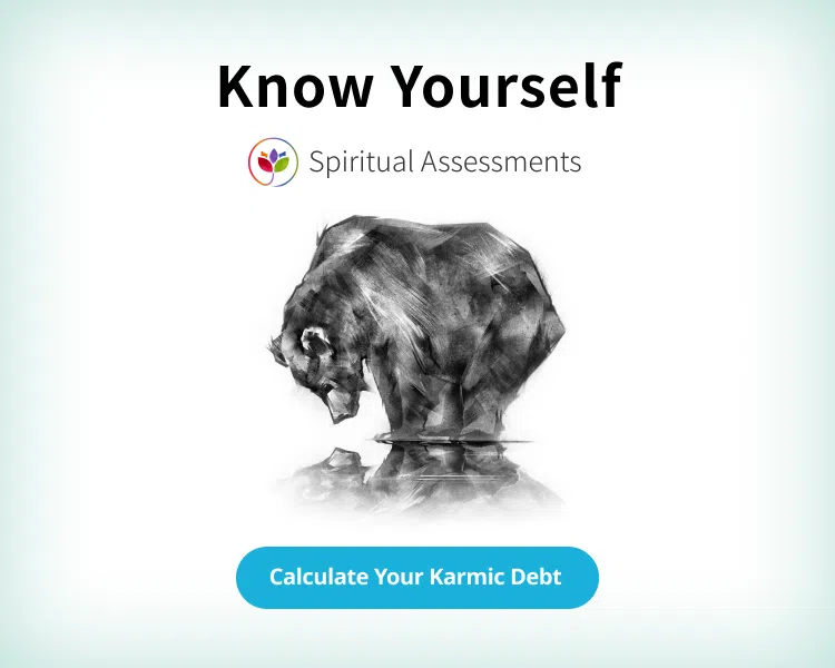 Calculate your karmic debt