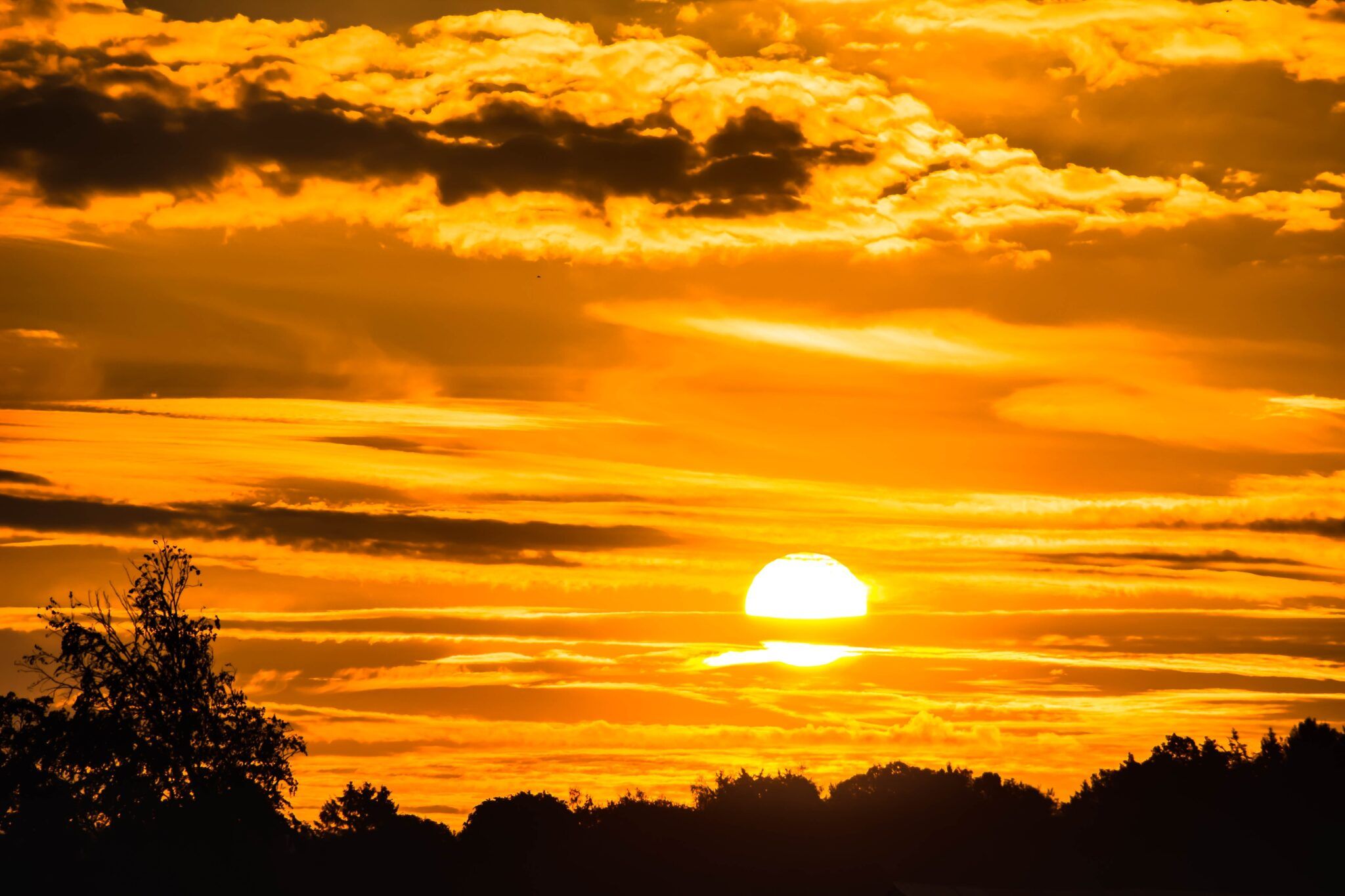 Sunrise Meaning In Sanskrit Language