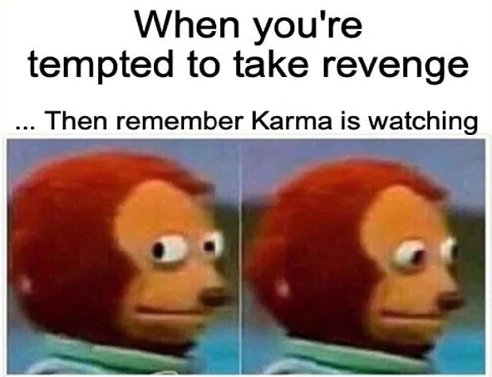 Funny Quotes About Karma And Revenge