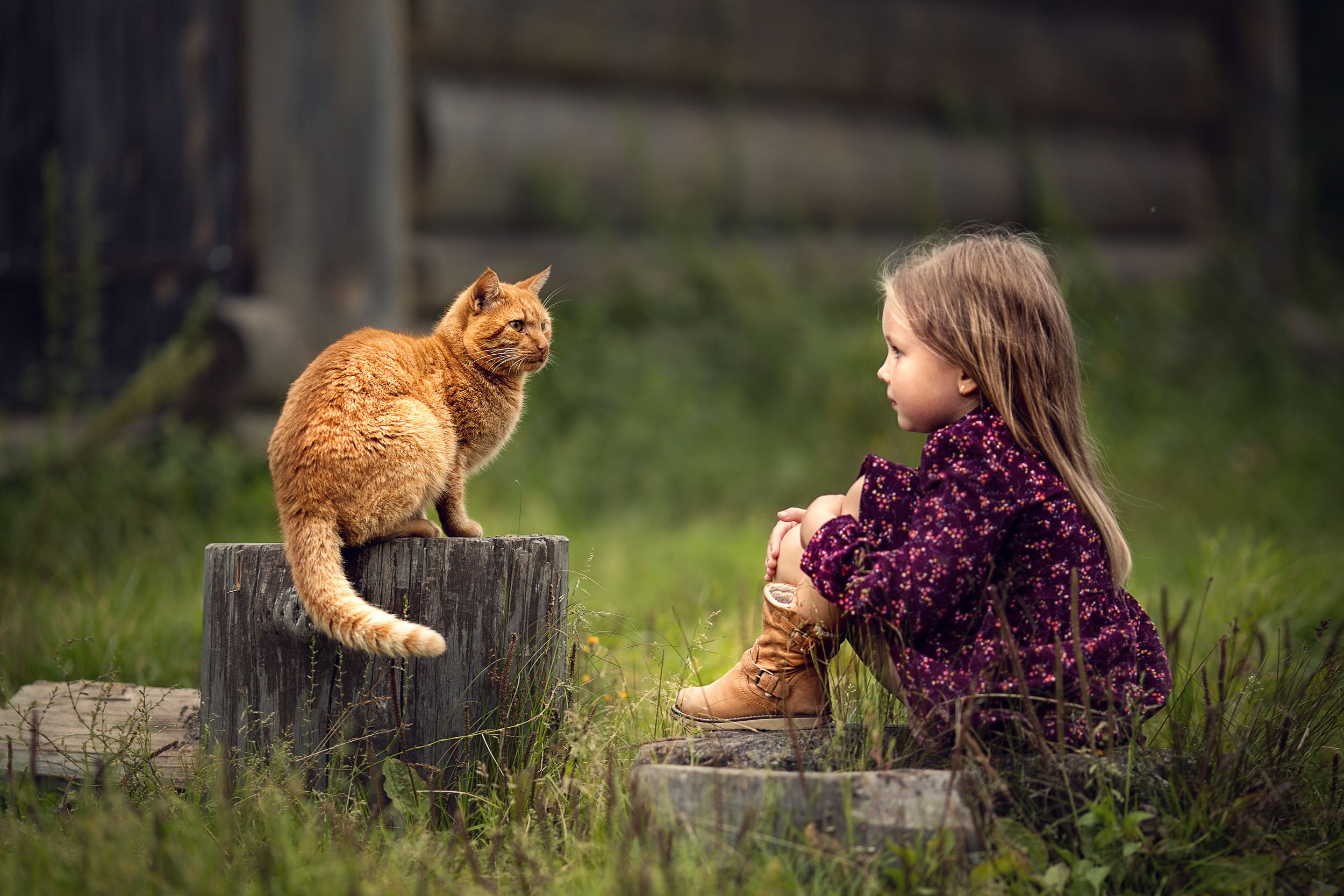 Дети коты. Для детей. Животные. Дети с животными. Кот на природе. Кошка для детей.